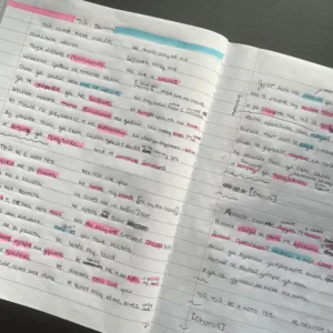 The lyrics to a Bulgarian song handwritten with highlighter marks and notes. 